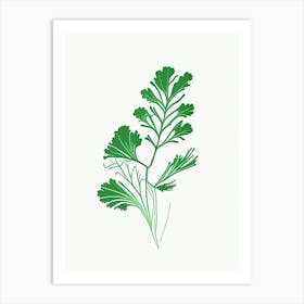 Cilantro (Coriander Leaf) Spices And Herbs Minimal Line Drawing 1 Art Print