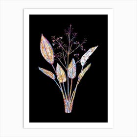 Stained Glass European Water Plantain Mosaic Botanical Illustration on Black n.0243 Art Print