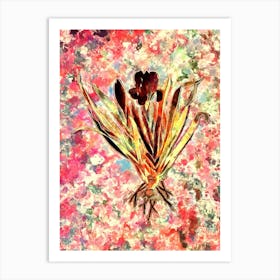 Impressionist Crimean Iris Botanical Painting in Blush Pink and Gold n.0037 Art Print