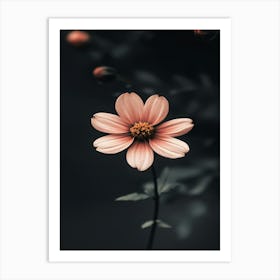 Pink Flower 2 Art Print