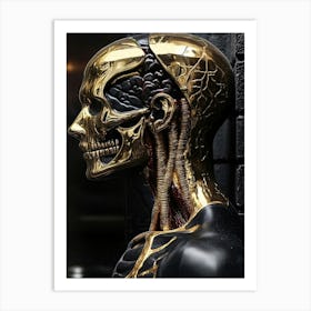 Skull Of A Human Art Print