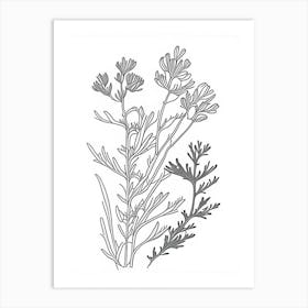 Fenugreek Herb William Morris Inspired Line Drawing 1 Art Print