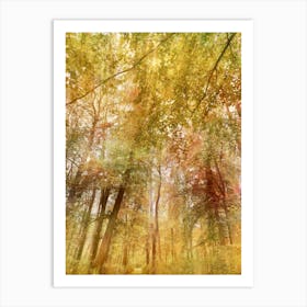 Autumn Canopy Art Print