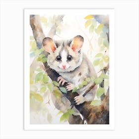 Light Watercolor Painting Of A Ringtail Possum 1 Art Print