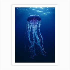 Box Jellyfish Ocean Realistic 3 Art Print