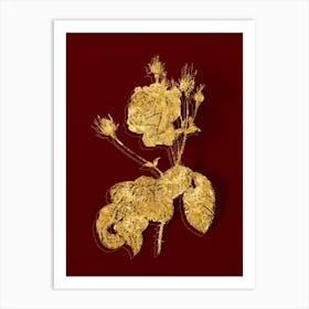 Vintage Cabbage Rose Botanical in Gold on Red n.0183 Art Print