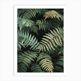 Tassel Fern Painting 4 Art Print