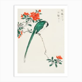 Chinese Bird 3 Art Print