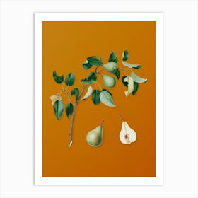 Vintage Pear Botanical on Sunset Orange n.0638 Art Print