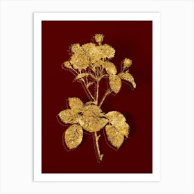 Vintage Pink Rosebush Botanical in Gold on Red n.0214 Art Print