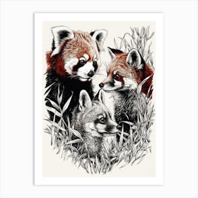 Red Panda And A Fox Ink Illustration 2 Art Print