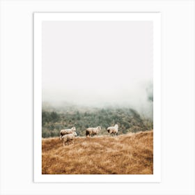 Herd Of Sheep Art Print