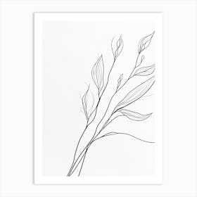 Drawing Of A Plant Art Print