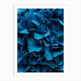 Blue Blossoms Art Print