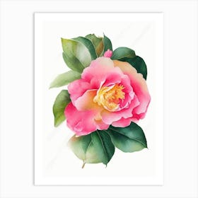 Camellia Wildflower Watercolour 1 Art Print