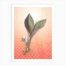 Koemferia Longa Vintage Botanical in Peach Fuzz Polka Dot Pattern n.0287 Art Print