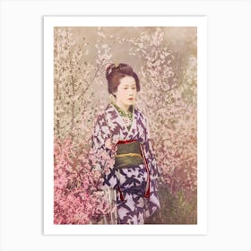 Beautiful Photomechanical Prints Of A Geisha And Cherry Blossom, Ogawa Kazumasa Art Print