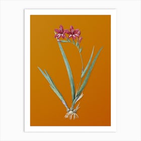 Vintage Gladiolus Cardinalis Botanical on Sunset Orange n.0594 Art Print