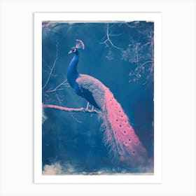 Blue & Pink Peacock On A Tree 1 Art Print
