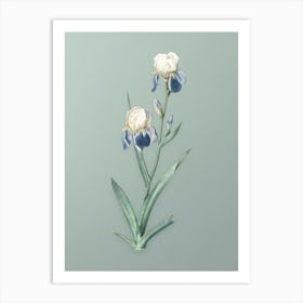 Vintage Elder Scented Iris Botanical Art on Mint Green Art Print