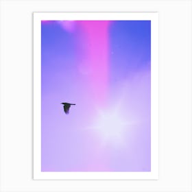 Bird In The Sky Art Print