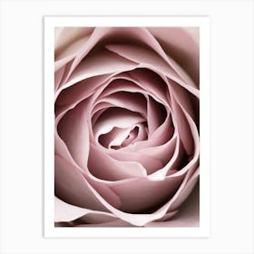 Pink Rose Petal Vintage_2066831 Art Print