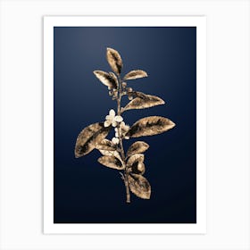 Gold Botanical Tea Tree on Midnight Navy n.1105 Art Print