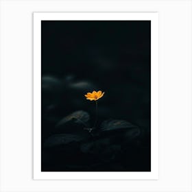 Dark Photography, Dark Photography, Dark Photography, Dark Photography Art Print