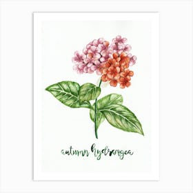 Autumn Hydrangea Art Print