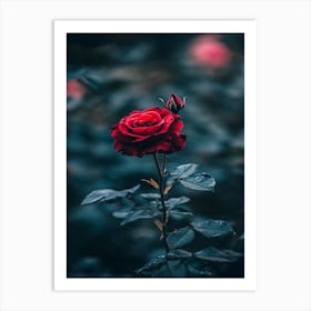 Red Rose 25 Art Print