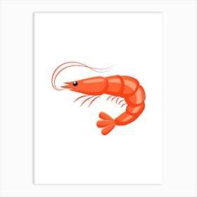 Red Shrimp Vector Illustration. UK Art Print