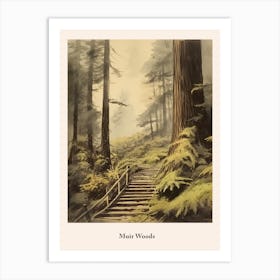 Muir Woods Art Print