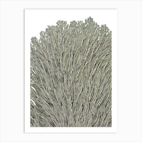 Acropora Granulosa Ii Linocut Art Print