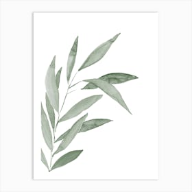 Watercolor Bamboo Leaf in Sage Green Art Print