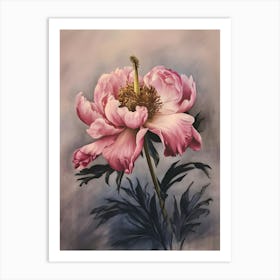 Pink Peony 3 Art Print