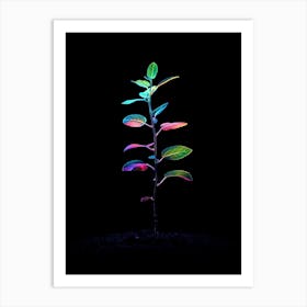 Rainbow Plant 5 Art Print