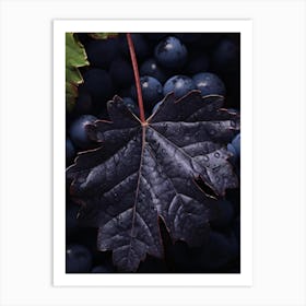 Black Grapes 3 Art Print