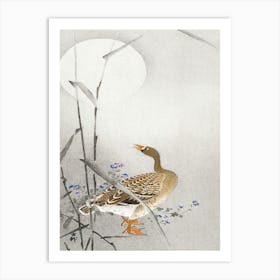 Goose At Full Moon (1900 1936), Ohara Koson Art Print