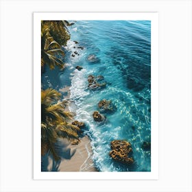 Aerial View Of A Tropical Beach Art Print