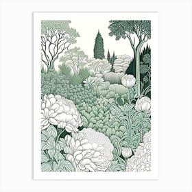 Parks And Public Gardens With Peonies 1 Drawing Art Print