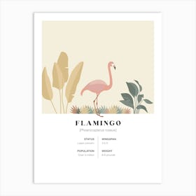 Flamingo - Jungle Fact Art Print