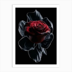 Dark Red Rose Art Print