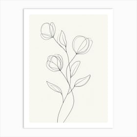 Line Drawing Of Flowers Art Print