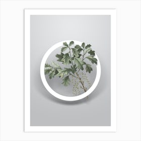 Vintage Bear Oak Minimalist Botanical Geometric Circle on Soft Gray n.0461 Art Print