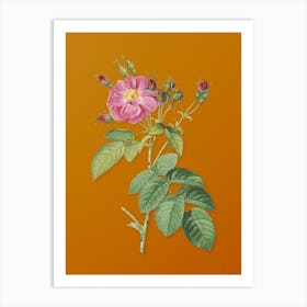 Vintage Harsh Downy Rose Botanical on Sunset Orange Art Print