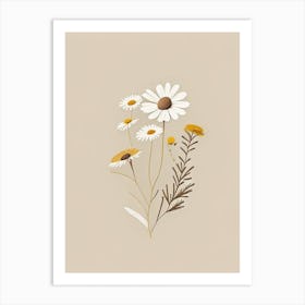 Chamomile Spices And Herbs Retro Minimal 4 Art Print