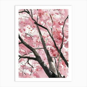 Cherry Blossoms 4 Art Print