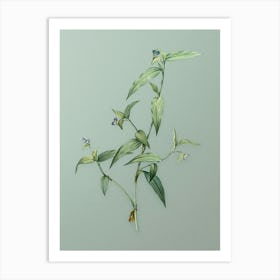 Vintage Tagblume Botanical Art on Mint Green n.0385 Art Print