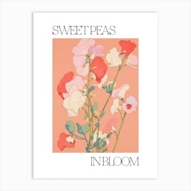 Sweet Peas In Bloom Flowers Bold Illustration 4 Art Print