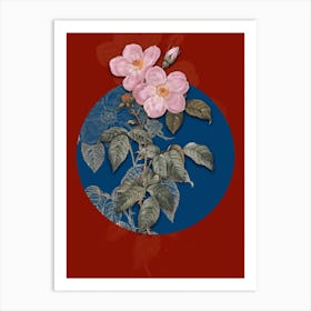 Vintage Botanical Tea Scented Roses Bloom on Circle Blue on Red n.0296 Art Print